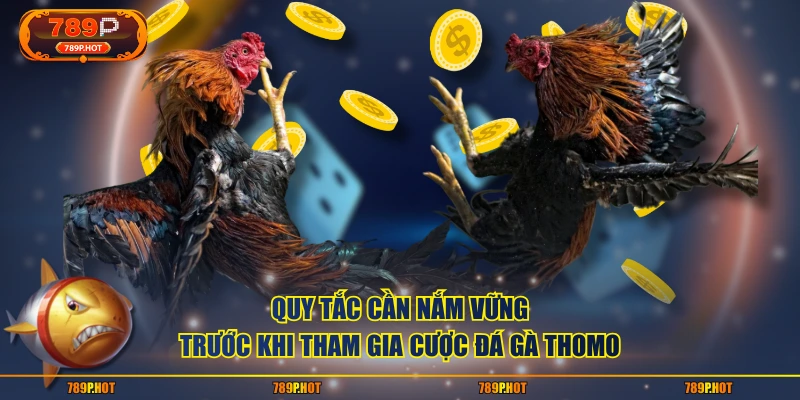 Quy tắc cần nắm vững trước khi tham gia cược đá gà Thomo